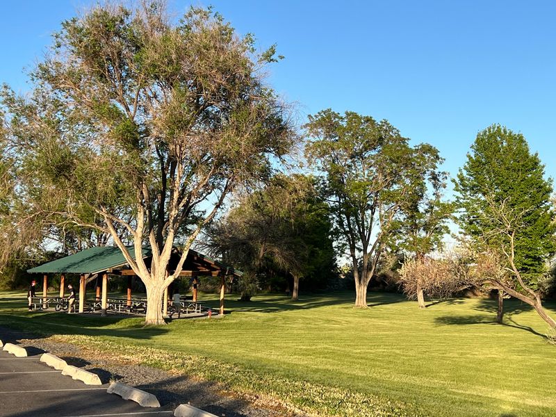 Shade Trees And Picnic Tables