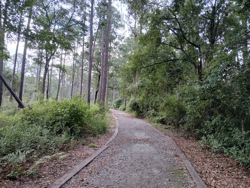 10 Georgia Hiking Trails Where Hikers Should Stay Snake-Aware - Decor Hint Nature Trail, Reed Bingham State Park, Adel