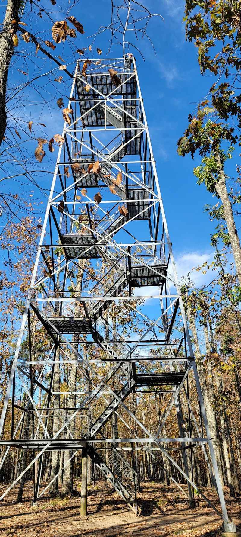 Big Hill Pond State Park, Pocahontas