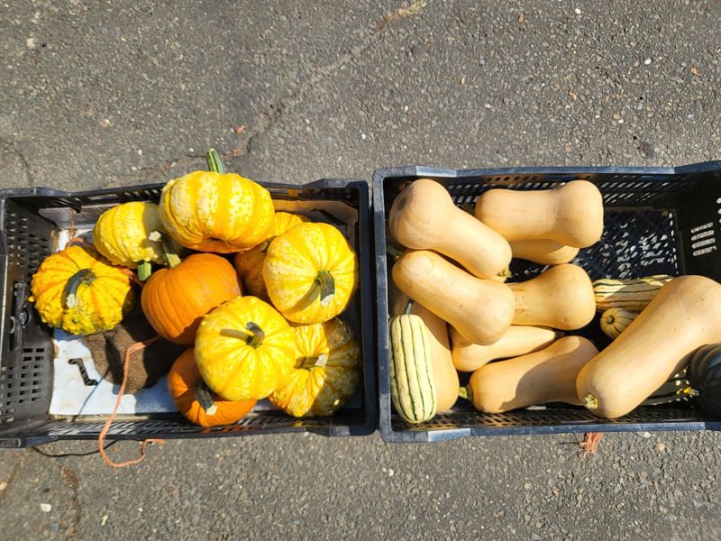 9 Connecticut Farmers Markets Brimming With Harvest Foods And Happy Crowds - Decor Hint New Canaan Farmers Market, New Canaan