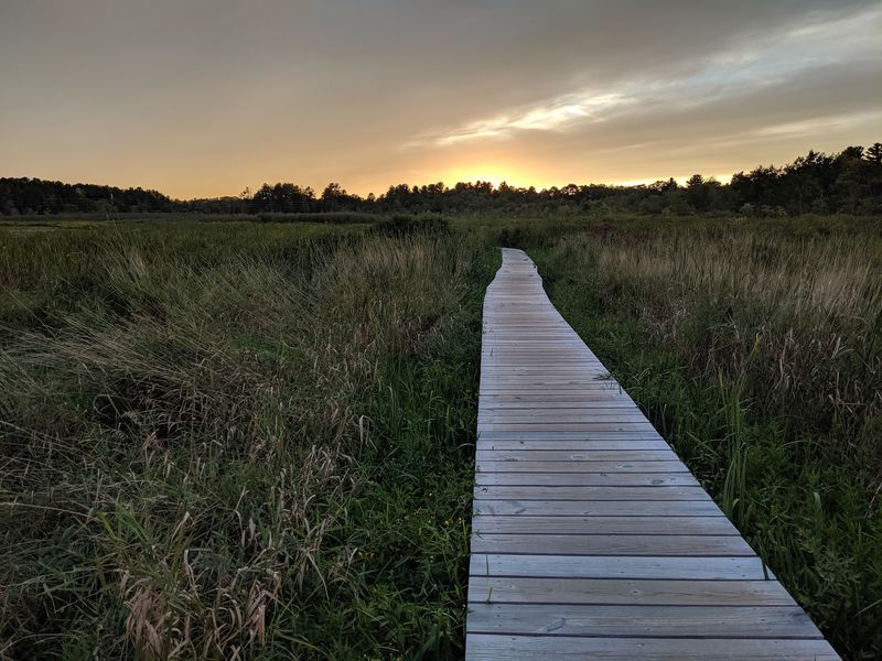 The Boardwalk Floats Right Through The Marsh