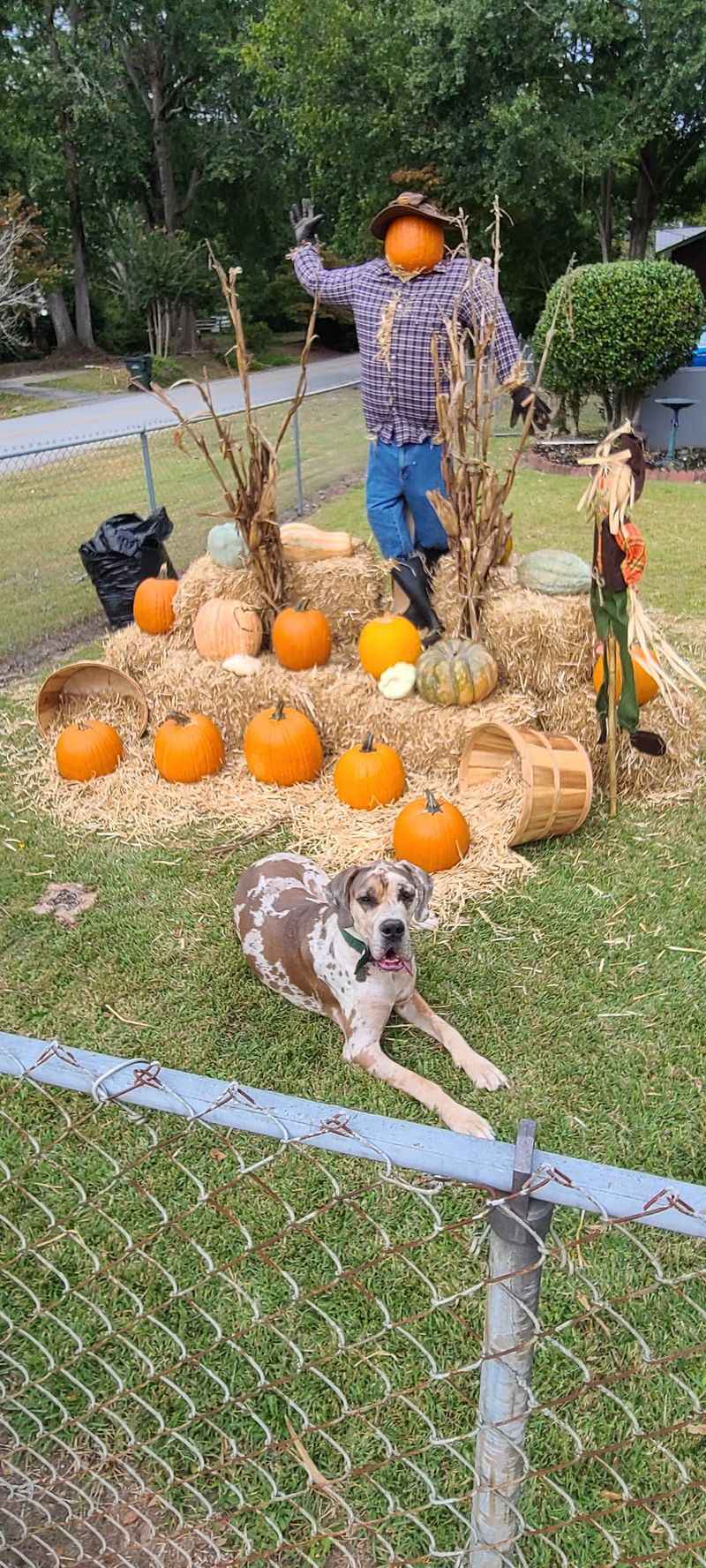 Why Families Keep Coming Back Each October