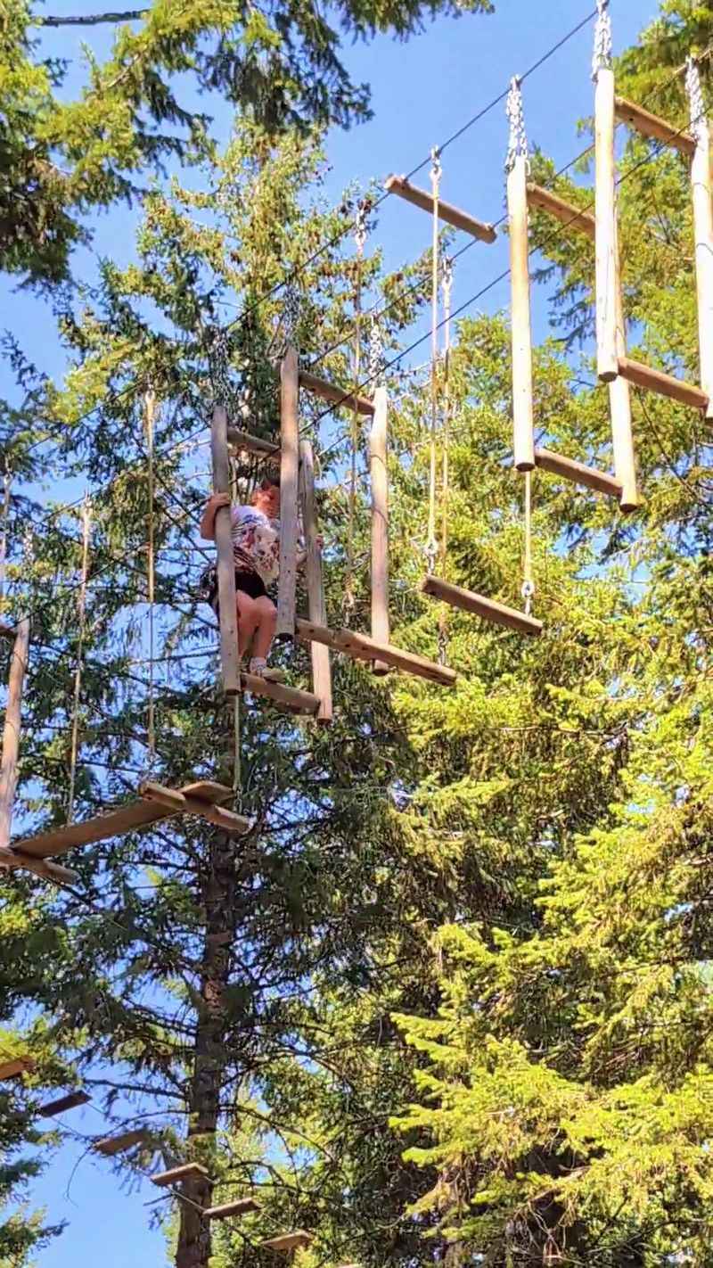 Planning Your Visit To The Treetops