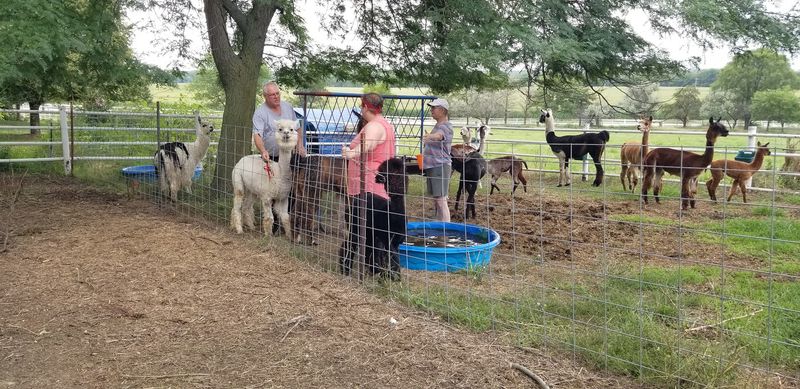 The Barn, the Pasture, and the Picnic Spot