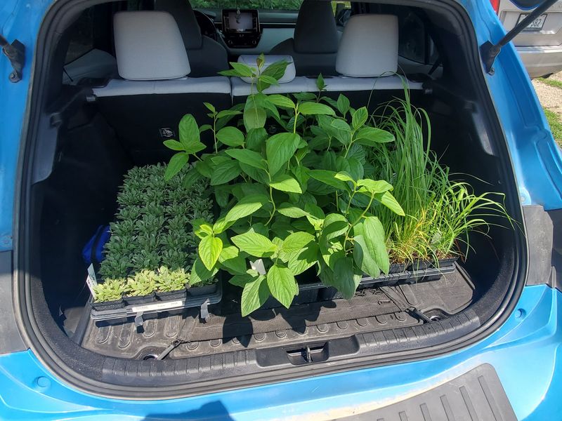 Planning the Drive and the Limited Window