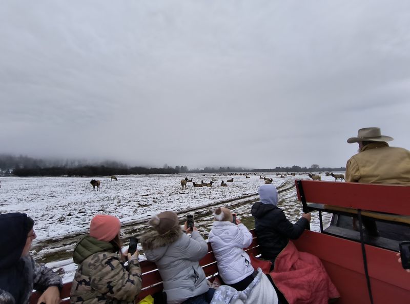 Managing Expectations on Weather and Elk