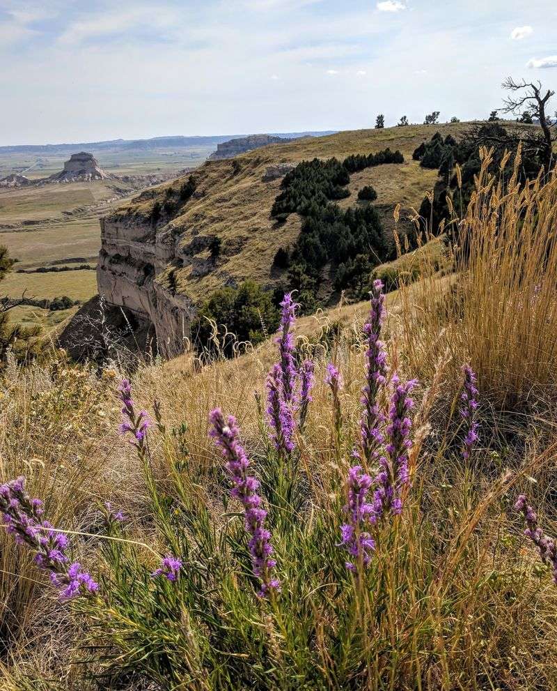 Wildlife, Cactus, and a Prairie That Feels Like Somewhere Else