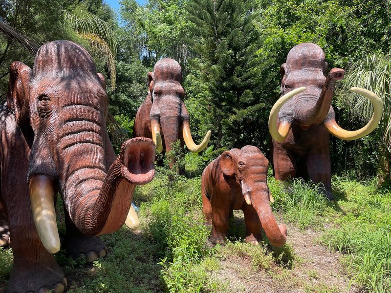 Mammoths Crash the Party