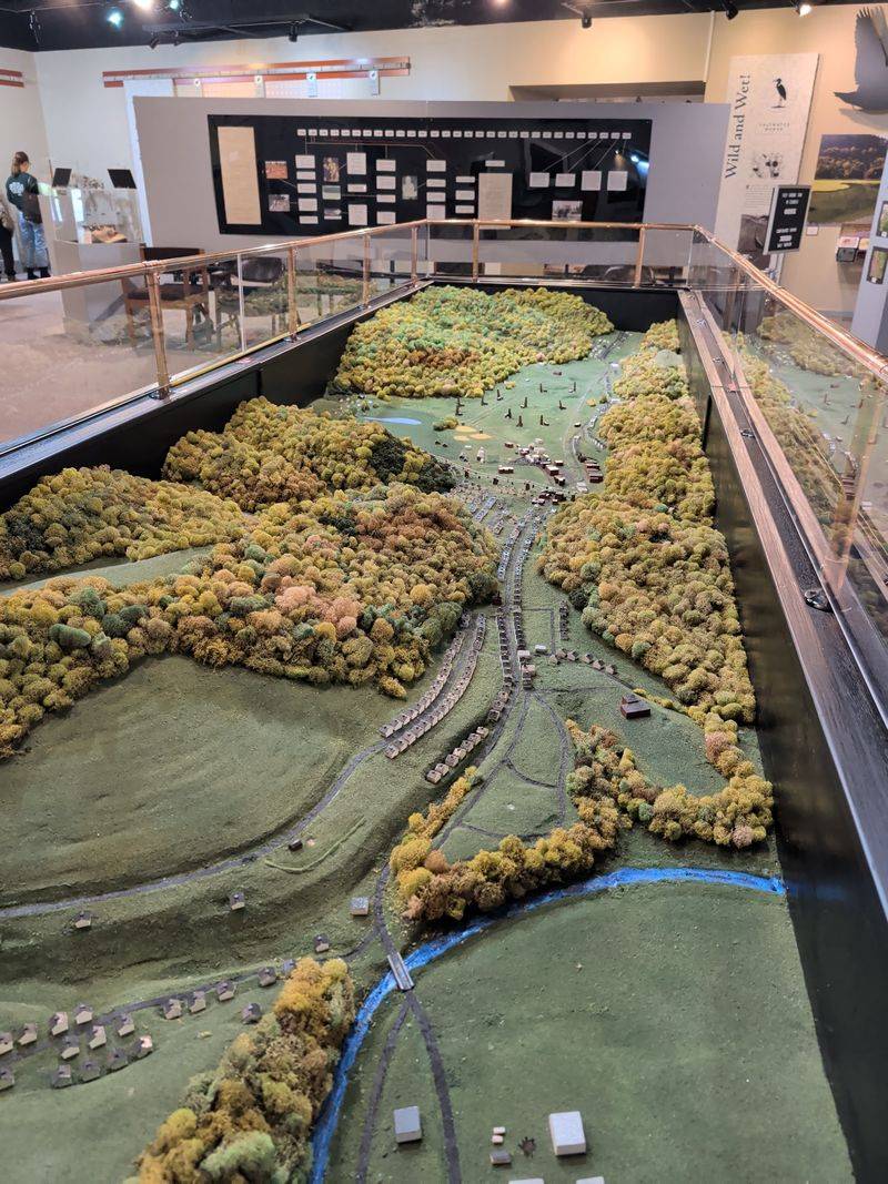 A Salt Marsh Far Inland