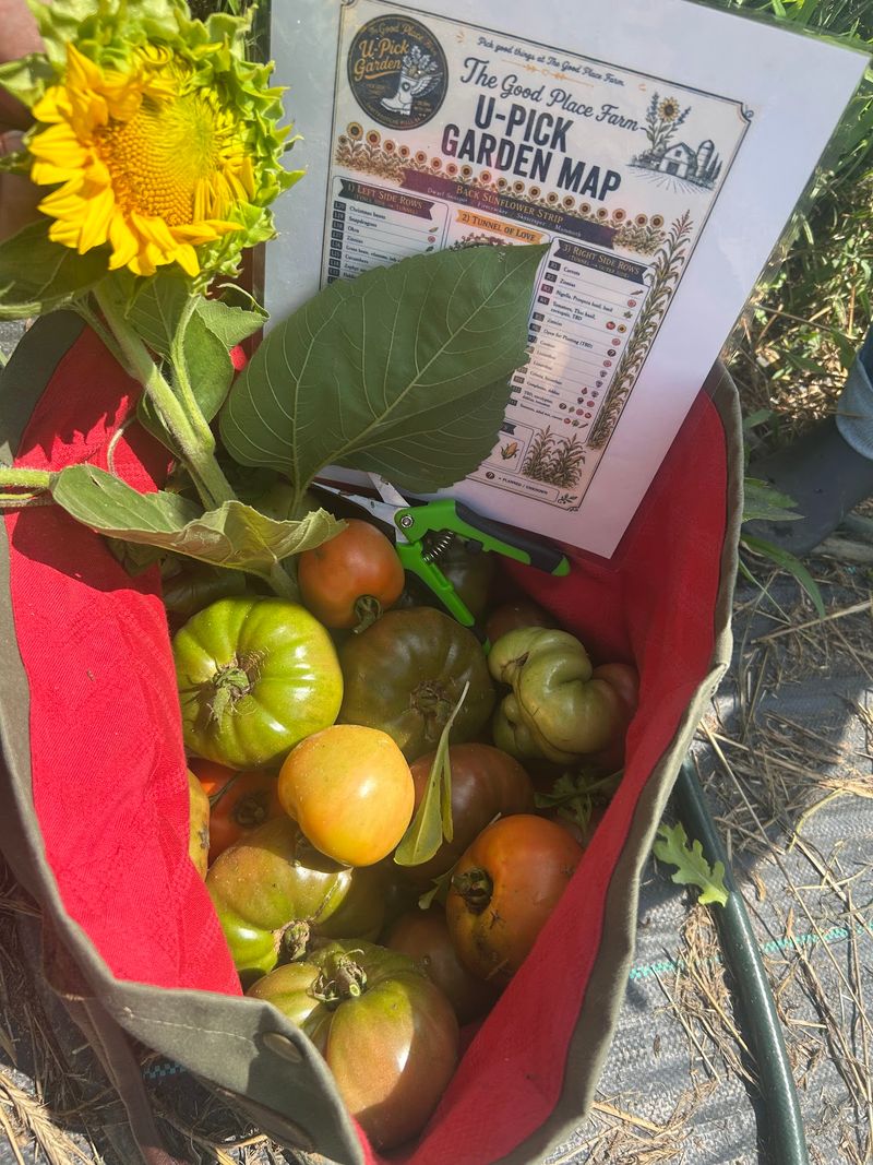 The Honor System Farm Stand Open Around The Clock