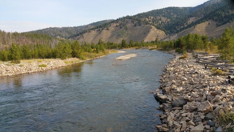 Every Fall Thousands Of Kokanee Turn Bright Red In This Idaho Creek - Decor Hint A Journey Measured In Miles