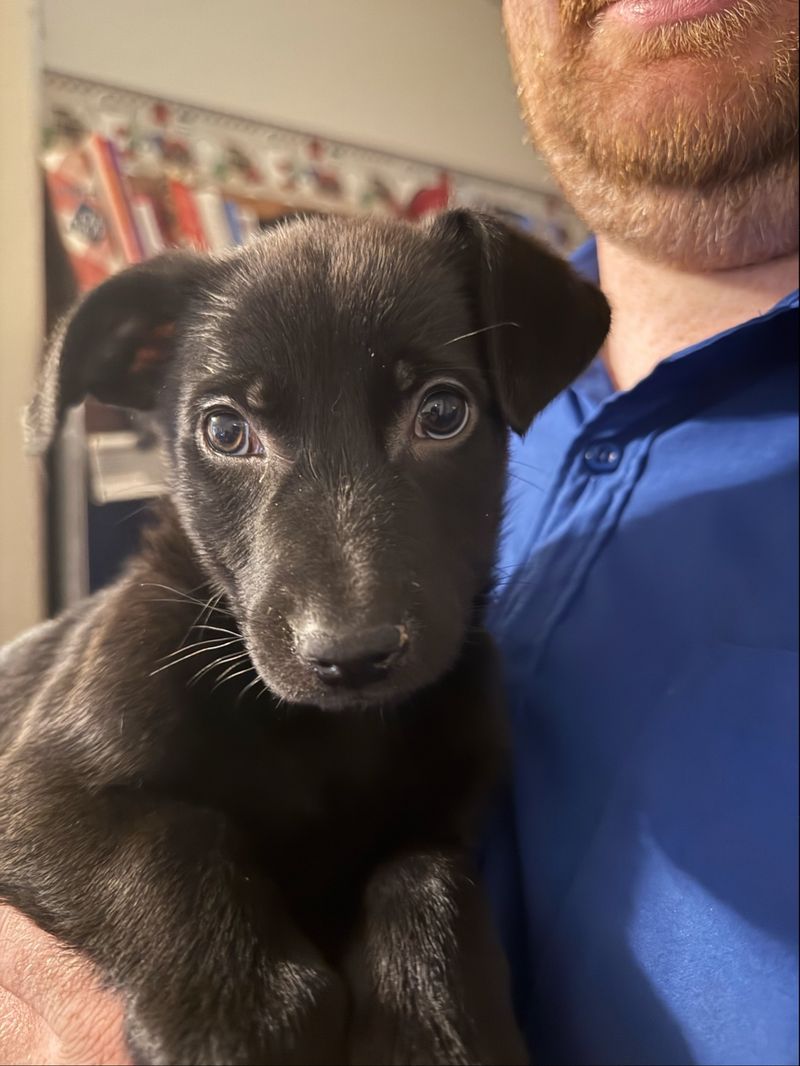 A Rescue That Outgrew Its Owner
