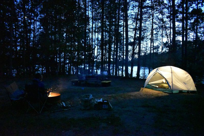 Campsites Tucked Among Tall Pines