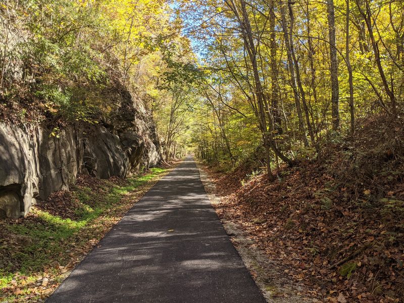 Wildlife Sightings Along The Corridor