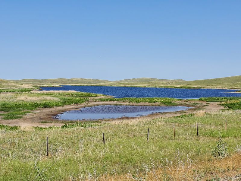 Sand, Grass and a Surprising Amount of Water