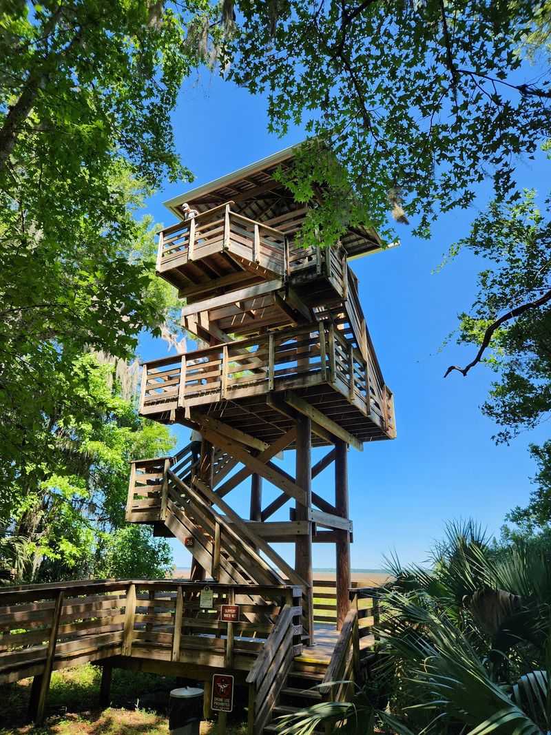 Climbing the Fifty-Foot Observation Tower