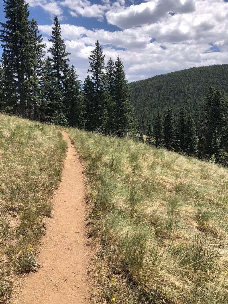 West Baldy Trail, Eagar