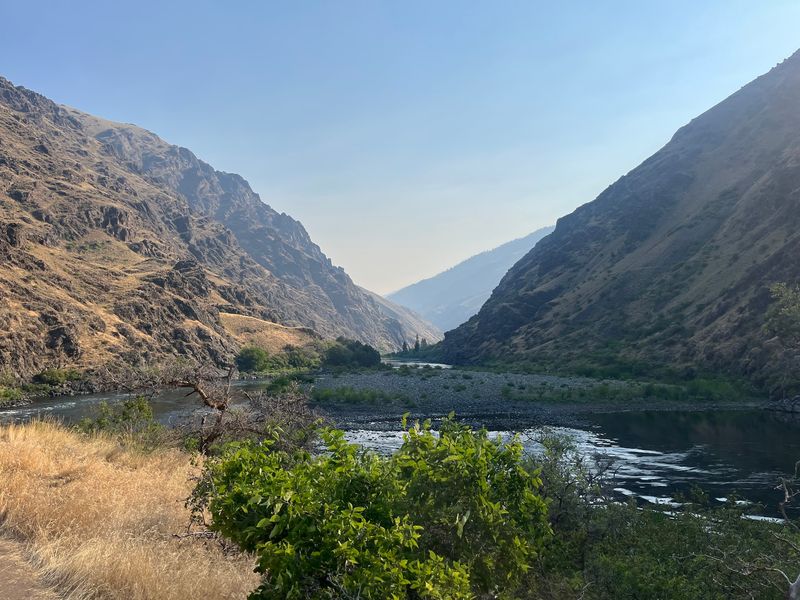 Steelhead Runs And Riverbank Mornings