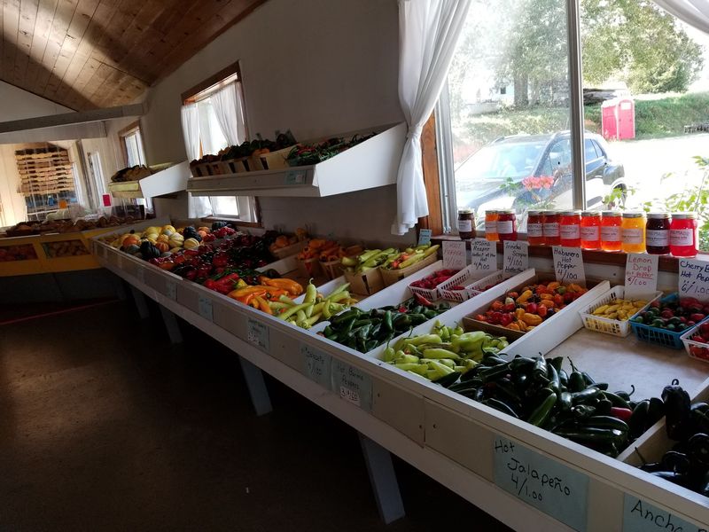 Vegetables Picked That Morning