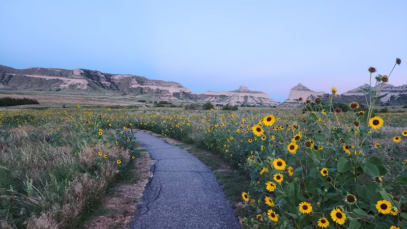 Getting There and Nearby Panhandle Stops