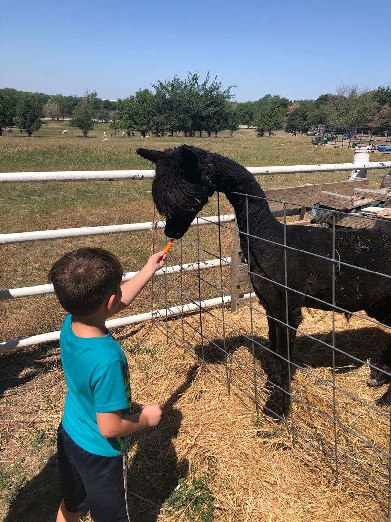 Appointments, Donations, and Other Practical Bits
