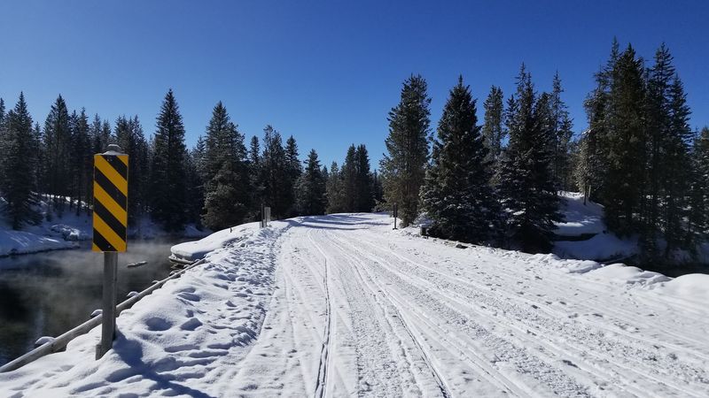 Timing Your Trip North