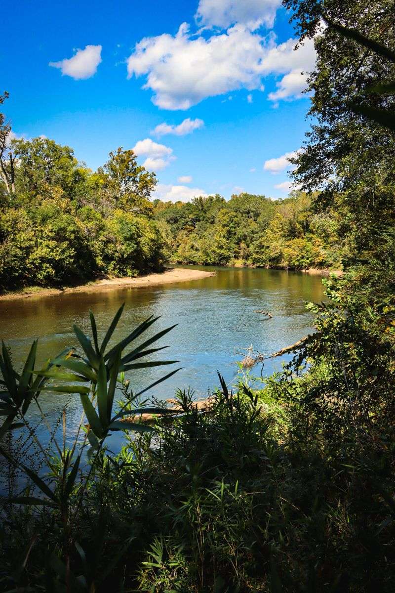 A River Corridor Built For Bears