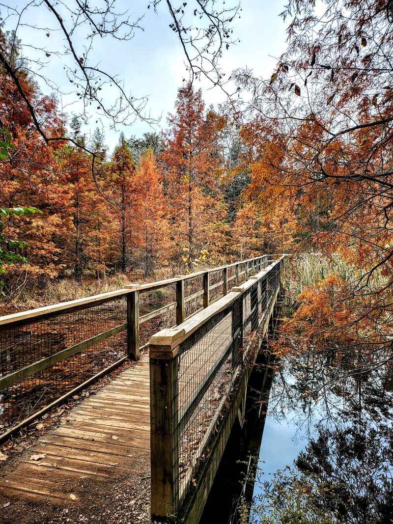 Guided Hikes You Should Reserve Early
