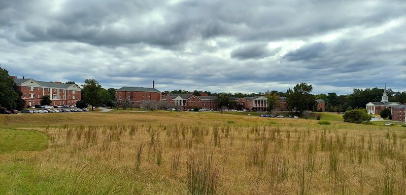From Downtown Bricks To A 200-Acre Campus