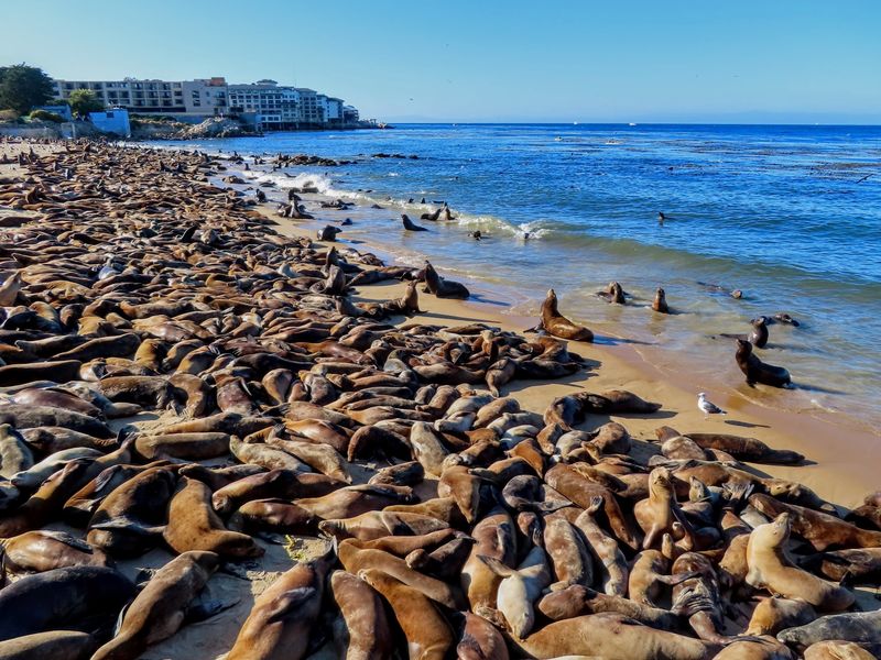 When The Beach Gets Crowded