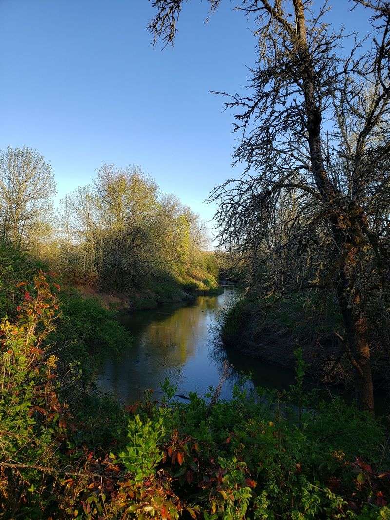 Jackson Bottom Wetlands Preserve, Hillsboro