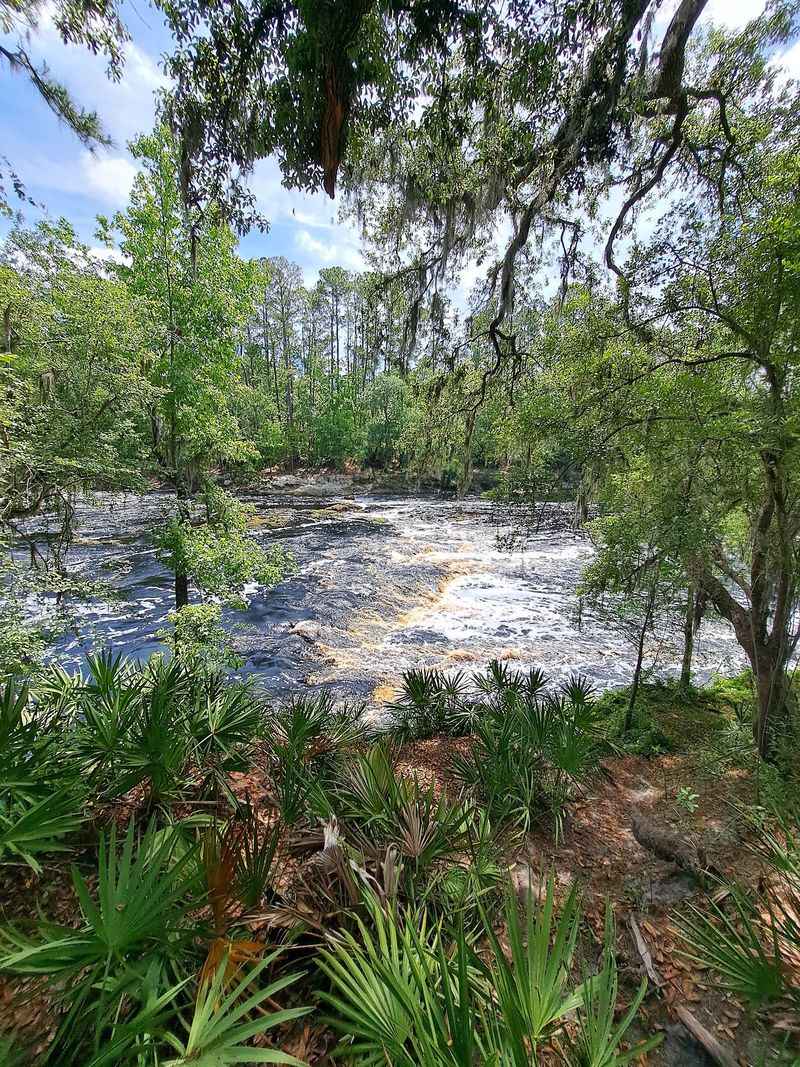 A Quiet Park That Feels Like Old Florida