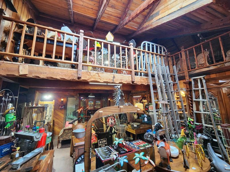 This Idaho Antique Shop Lets A Crew Of Rescued Cats Nap Among The Vintage Shelves - Decor Hint Warmth From An Old Woodstove