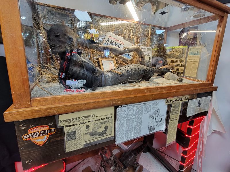 Marsh's Free Museum, Long Beach