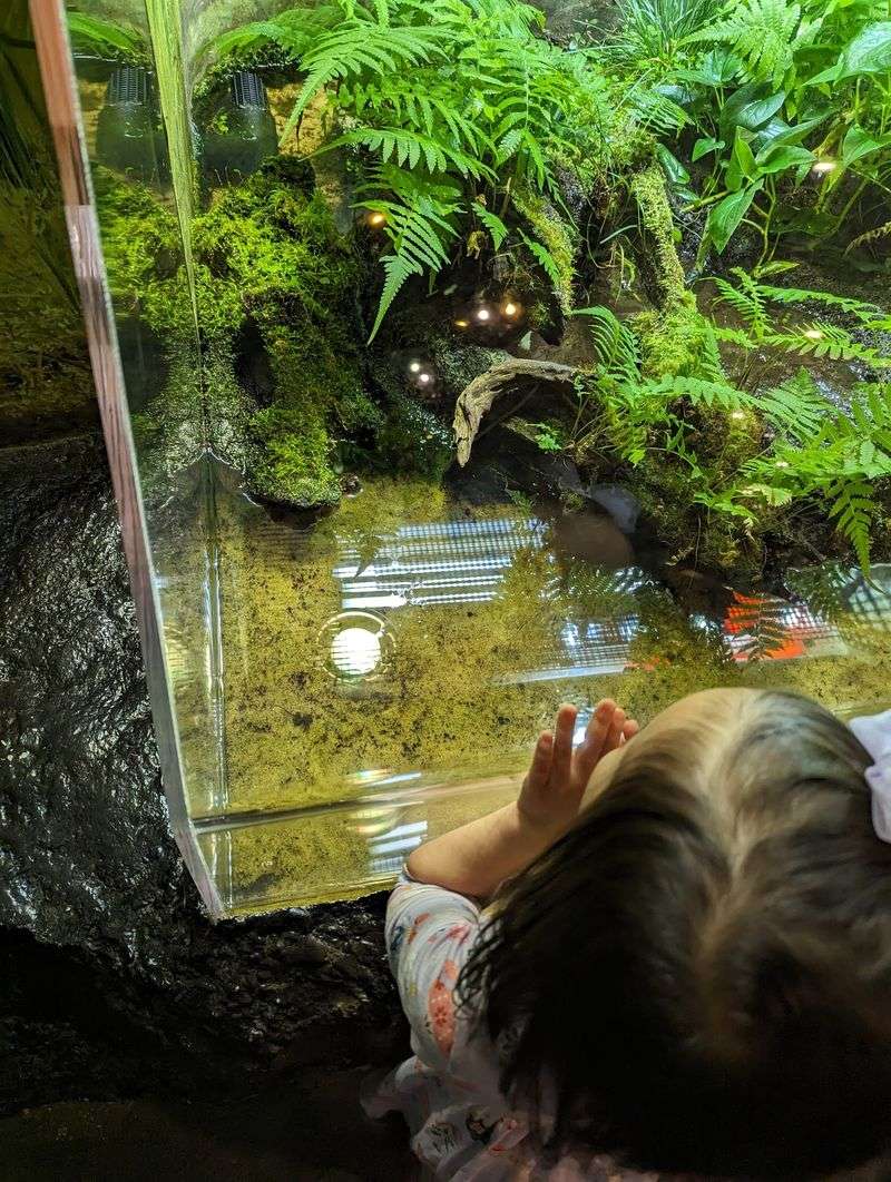 More Than 100 Creepy Crawly Activities Take Over Downtown Raleigh