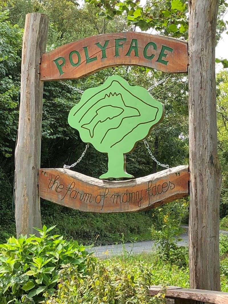 A Farm Built On Care
