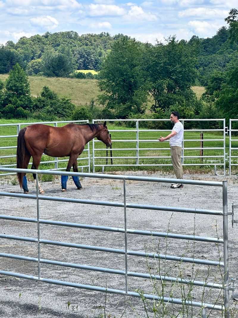 No Riding Experience Is Needed For This Unusually Hands-On Visit