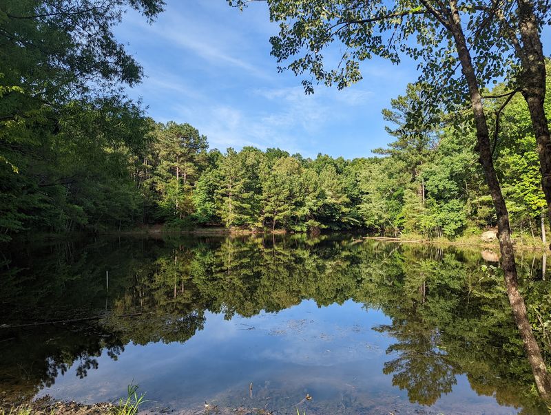 You Can Practically Walk On Water At This Kentucky Water Trail Filled With Eagles And Herons - Decor Hint Meet The Lake Named After A Noisy Goose