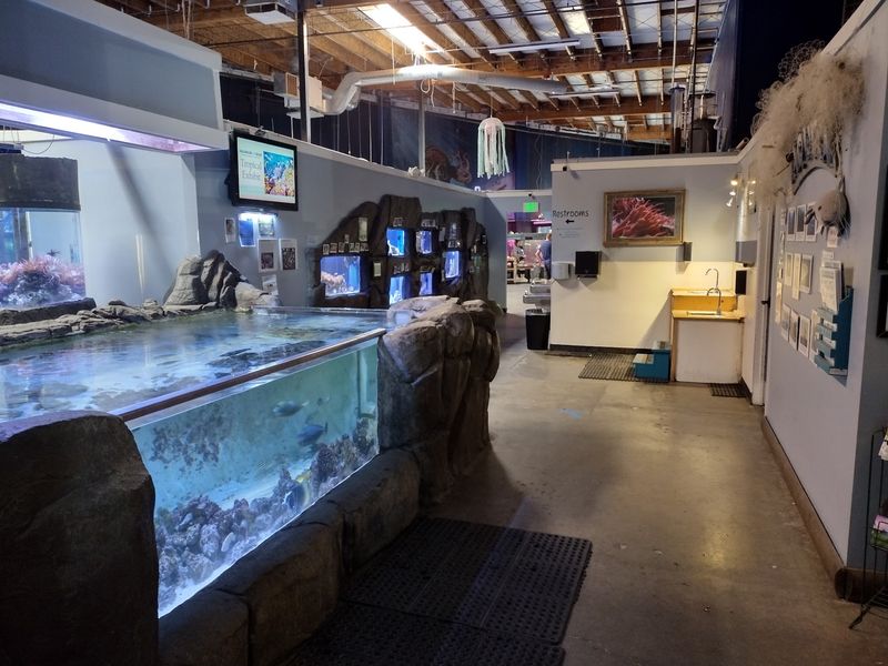 Step Inside A Plain Building Hiding 38 Different Exhibits
