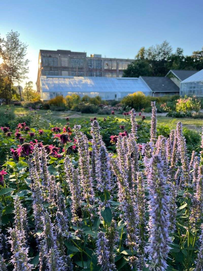 Eight Acres Hold An Entire World Of Plant Life