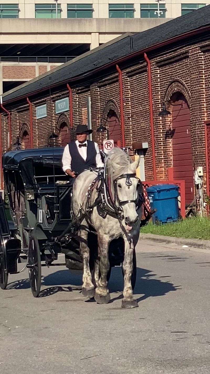 The Route Rolls Straight Through The City’s National Register Historic District