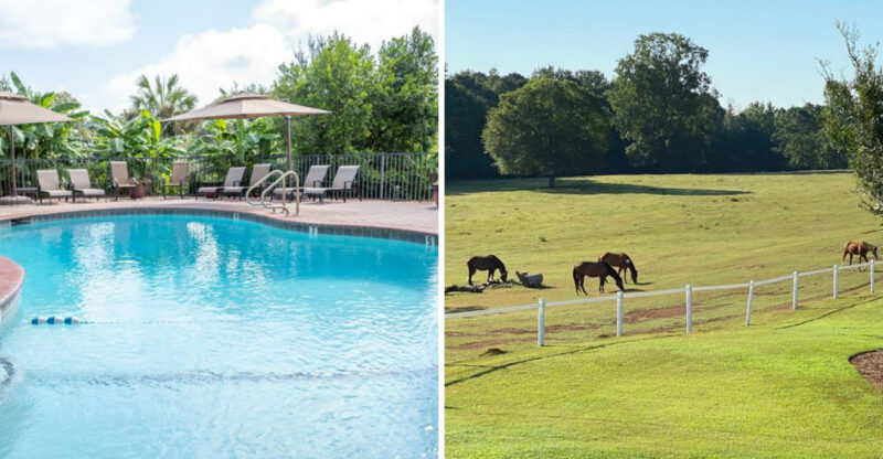 This Quiet Georgia Farm Lets You Meet Friendly Animals And Stay In Cozy Rooms