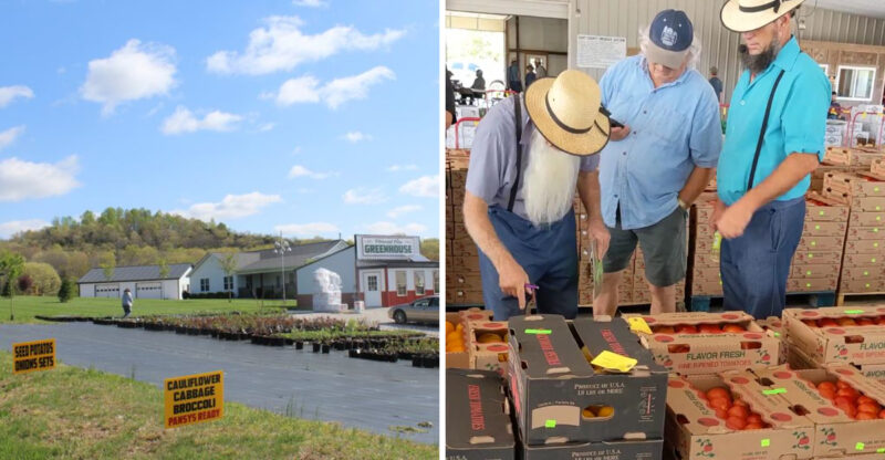 This Kentucky County Has The Largest Amish Community In The State And More Than 100 Amish-Owned Businesses