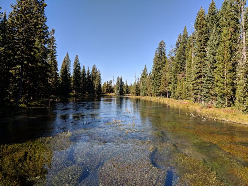 Idaho’s Big Springs Pours Out Water So Clear You Count The Trout From The Bridge