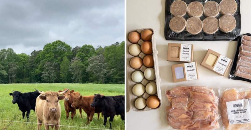 This North Carolina Farm Sells Pasture-Raised Meat Straight From Its Own Fields