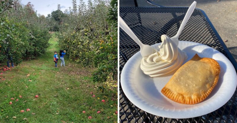10 Kentucky Orchards Where You Can Eat Lunch And Pick Apples The Same Day