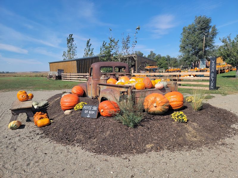6 Nebraska Pumpkin Patches Still Open Through October With A Corn Maze To Get Lost In