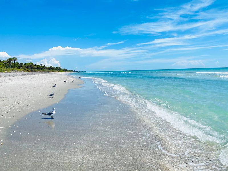 These Are the 7 Florida Beaches Where You Find Shark Teeth Without Even Trying