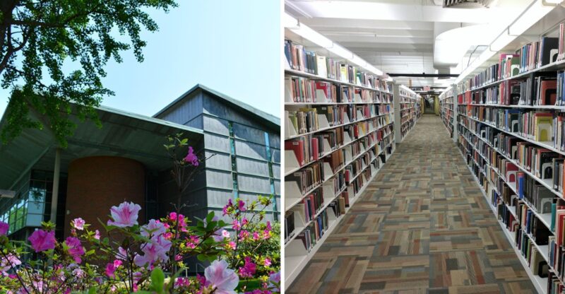 This Kentucky Library Is Displaying Banned Books In October, And Every Single One Is Free To Borrow