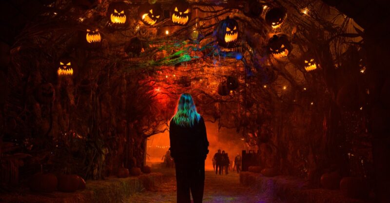 10 California Halloween Events Worth Planning A Spooky October Road Trip Around
